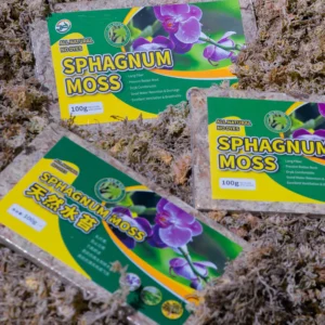 Herba Sphagnum Moss | Chinese long fibre moss